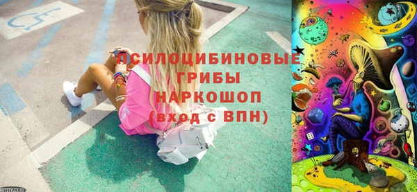 дмт Алзамай