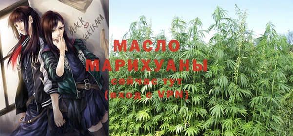 дмт Алзамай